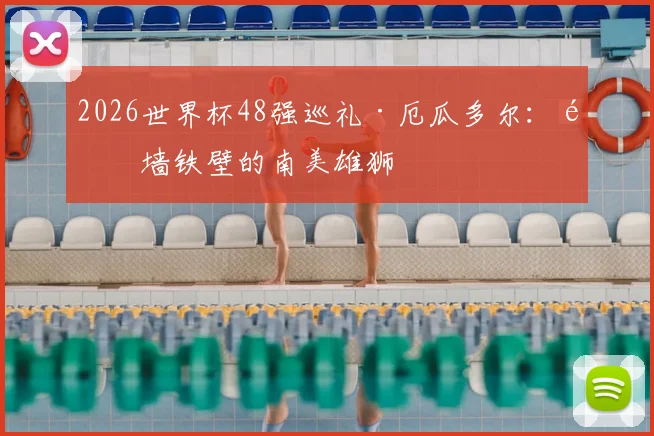2026世界杯48强巡礼·厄瓜多尔：铜墙铁壁的南美雄狮