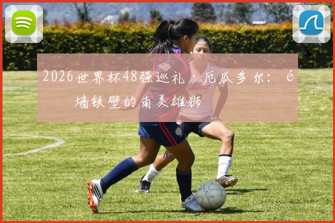 2026世界杯48强巡礼·厄瓜多尔：铜墙铁壁的南美雄狮